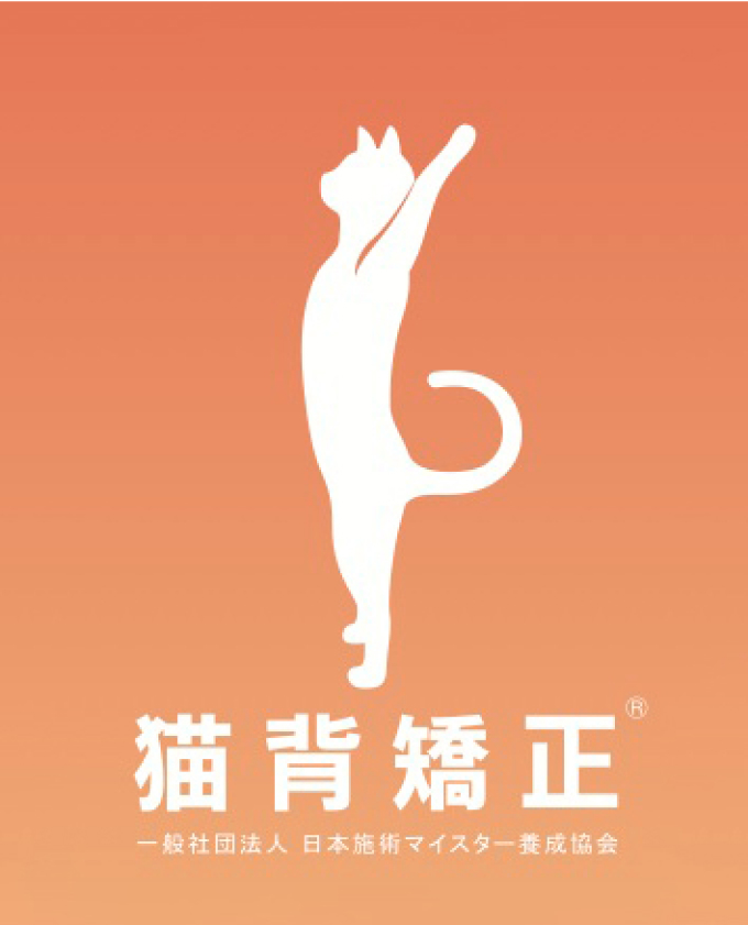 猫背矯正