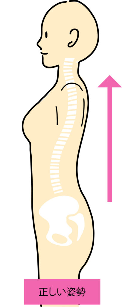 耳肩股関節くるぶしがまっすぐにつながる正しい姿勢のイメージ